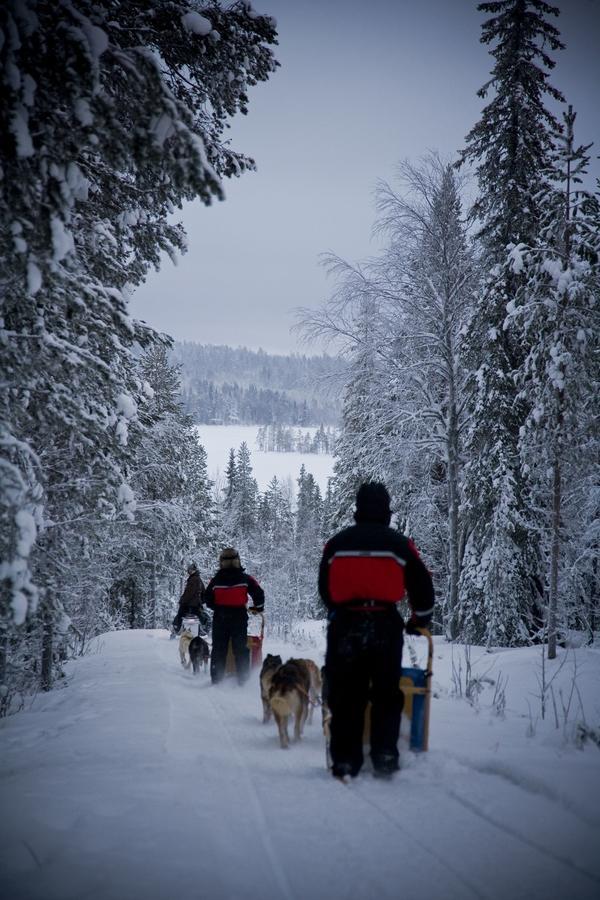 Beana Laponia - Wilderness Boutique Hotel With Safaris Meltaus Eksteriør billede